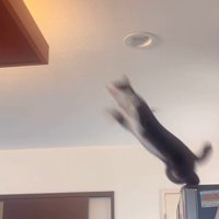 のびのびと幸せに暮らしている