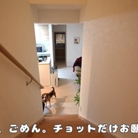 ペコちゃんを1階に置いてきたら…