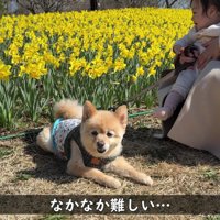 赤ちゃんとのツーショット