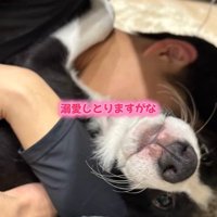 ルークくんと旦那さん6