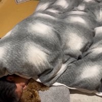 寄り添って眠るふたり