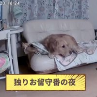 「揺れてる！？」