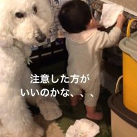 「注意した方がいいかな」