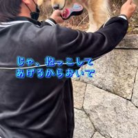 お父さんが抱っこしてくれることに