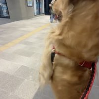 抑えきれない喜び