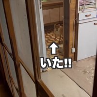 外出先から戻ってきた