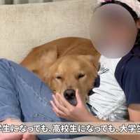 かけがえのない存在です