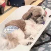 赤ちゃんのような表情のバズくん