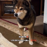 歌い終わったしゅんくん