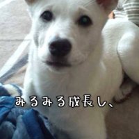 すくすく成長していった