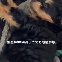 ぬいぐるみのように爆睡