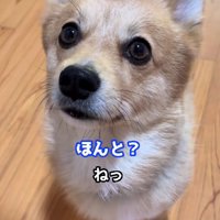 信頼関係にホッコリ