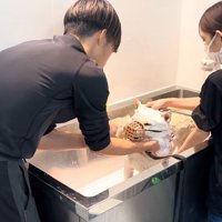 犬をシャンプーする男性と女性