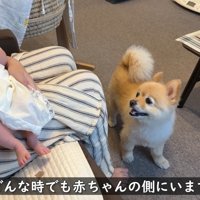 ずっと赤ちゃんのそばに♡
