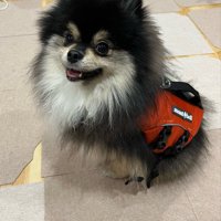 ニコニコ