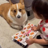 いなり君に読み聞かせをする女の子3