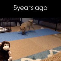 驚いてくるくるっ