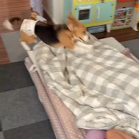 独特な愛情表現かも♡