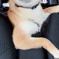格好いい