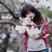 外で抱っこされる犬