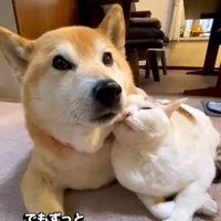 仲良しな2匹