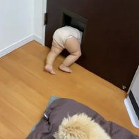 「え…どうしたらいい？」