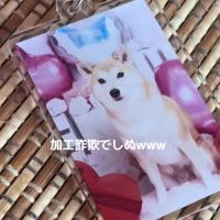オーディションに参加
