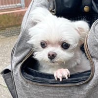 虚無顔に変貌！？