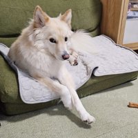 つるちゃんの日常2