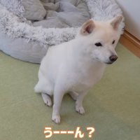 「うーん」