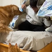 ようやく発見♪
