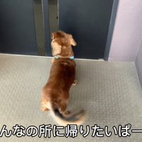 みんなの反応は…？