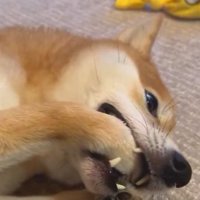 口を