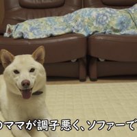 遊んだ後、ママさんの不調を伝えたら…