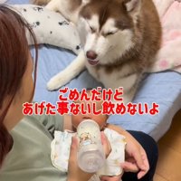 ミルクの順番待ちをするたこやきちゃん4