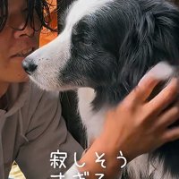 犬の顔を優しく撫でる男性