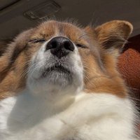 覚悟を決めた？