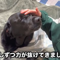 だんだん慣れてきて、うっとり…♡