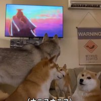 みんな大混乱！