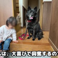 いつもと違う一休さん