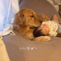 息子さんを支えるこむぎくん