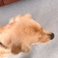 リリーちゃんと弟くんの初対面2