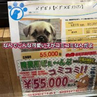 会いに行ってみたら…