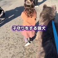 一緒にお散歩中