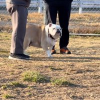 気づいたぱせり君