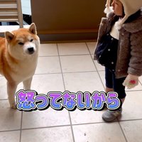 「もう怒ってないよ」
