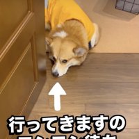 じっとりめの視線