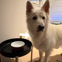「上手に飲めてる？」