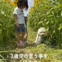 可愛い妹ができたよ