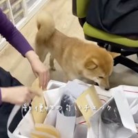 真剣なまなざし